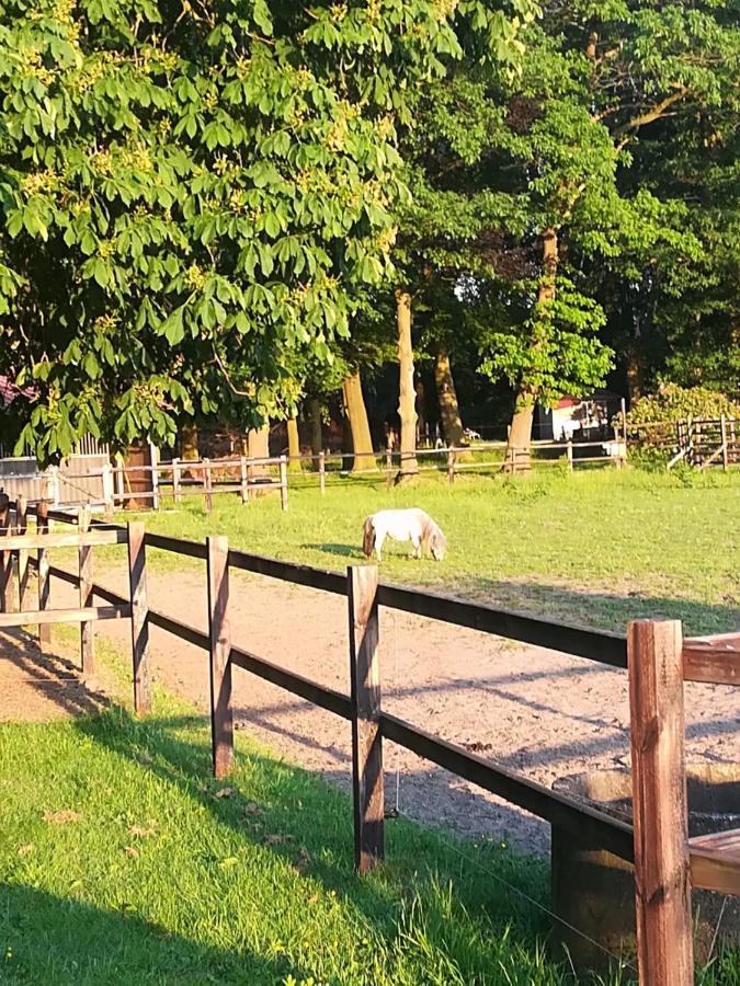 Erve Het Roolvink Boerderij Appartementen 40-50 M2 Энсхеде Экстерьер фото