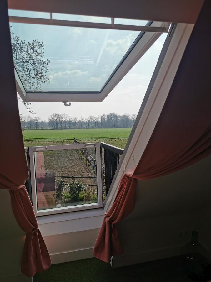 Erve Het Roolvink Boerderij Appartementen 40-50 M2 Энсхеде Экстерьер фото